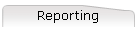 Reporting